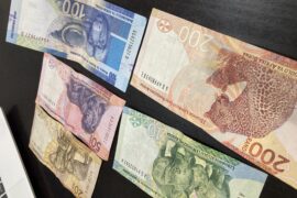 The South African Week